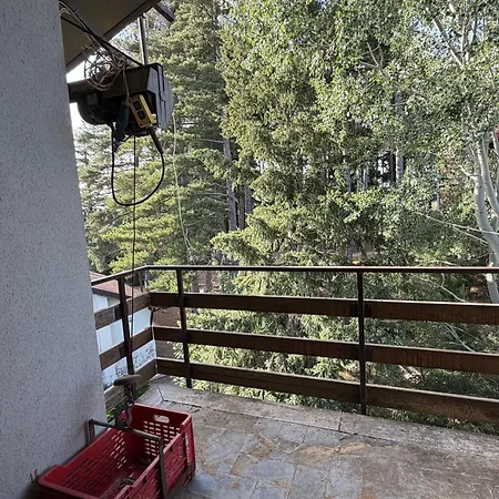 La Maison - Fuscaldoapartment *